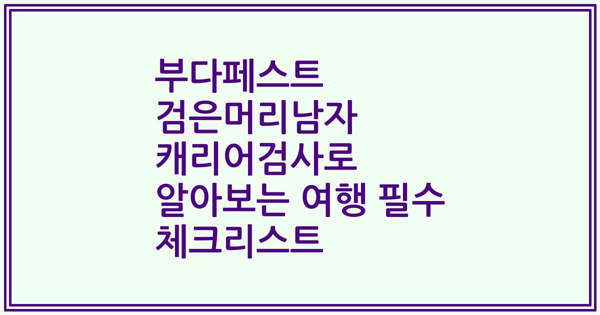 부다페스트 검은머리남자 캐리어검사로 알아보는 여행 필수 체크리스트