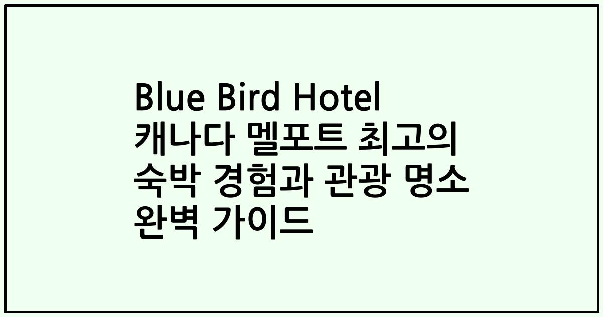Blue Bird Hotel 캐나다 멜포트 최고의 숙박 경험과 관광 명소 완벽 가이드